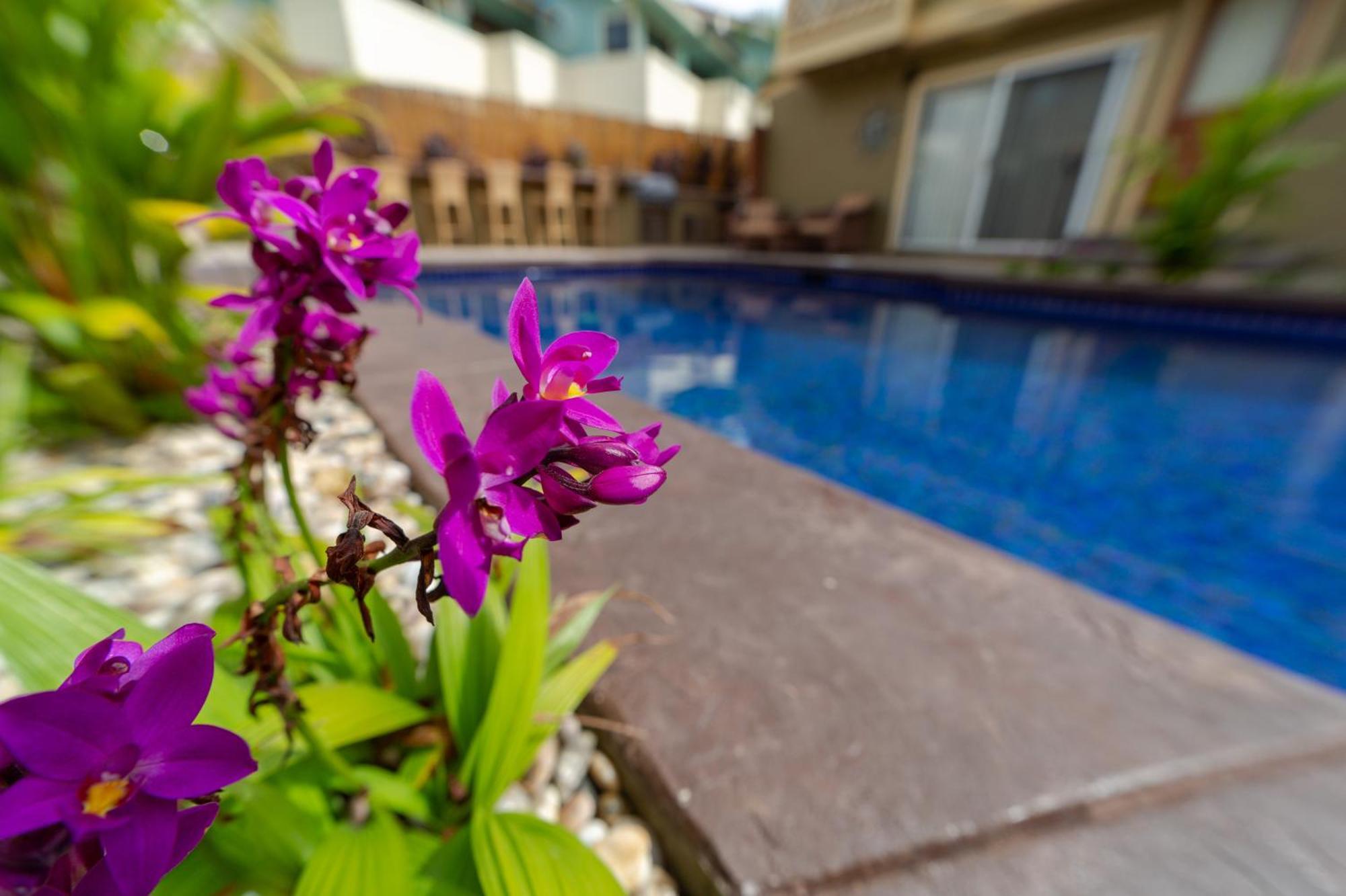 Plumeria Suite, 2-Bedrooms, Sleeps 6, Pool & Bbq, Pre-Renovation Summer Sale Kihei Exterior foto
