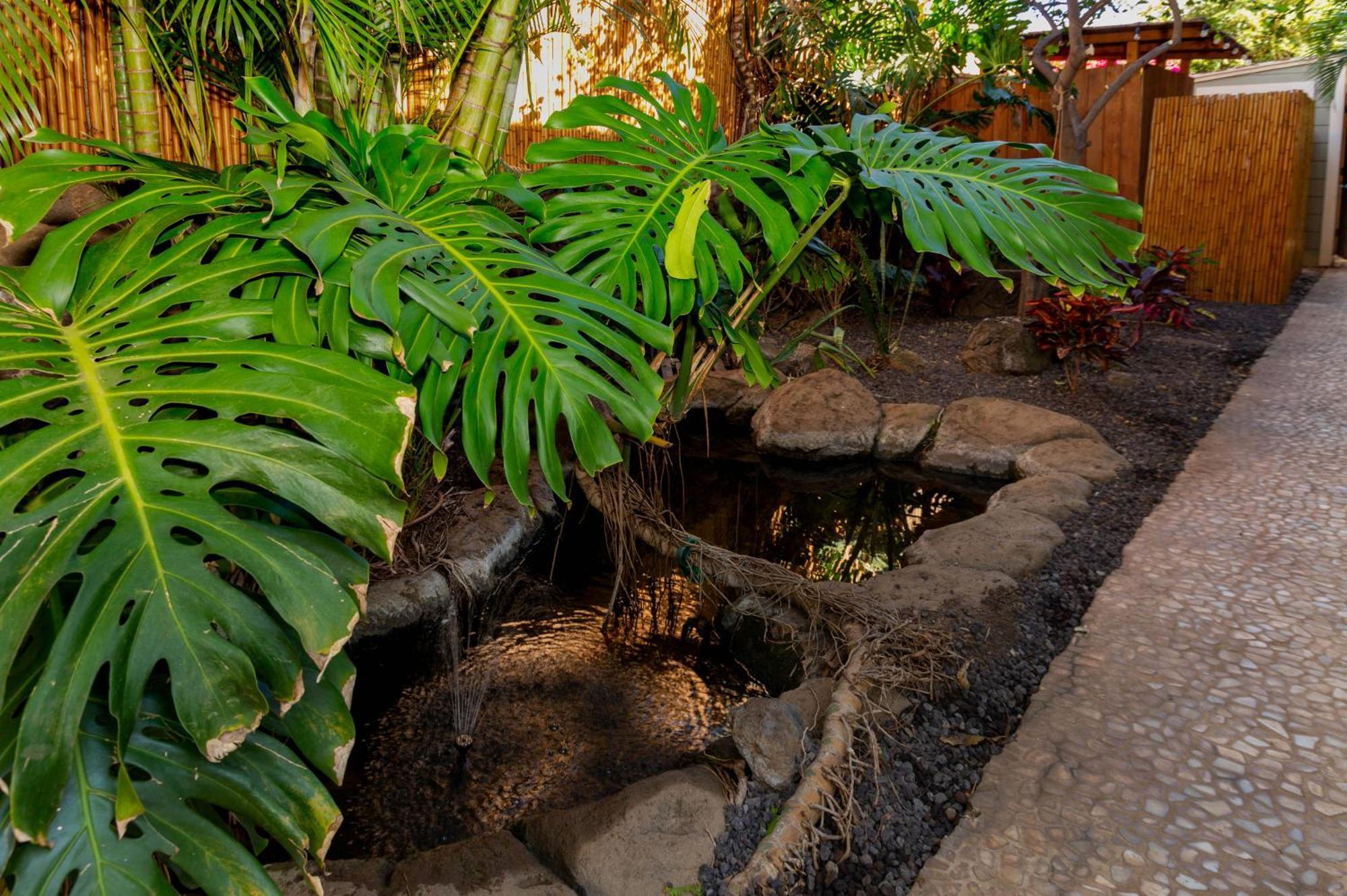 Plumeria Suite, 2-Bedrooms, Sleeps 6, Pool & Bbq, Pre-Renovation Summer Sale Kihei Exterior foto
